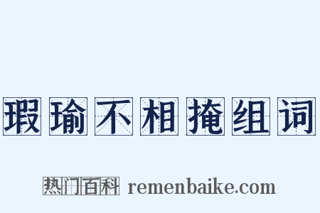 瑕瑜不相掩组词是什么意思的图片